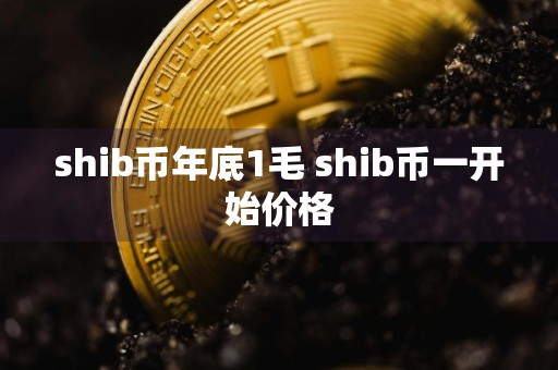 shib币年底1毛 shib币一开始价格