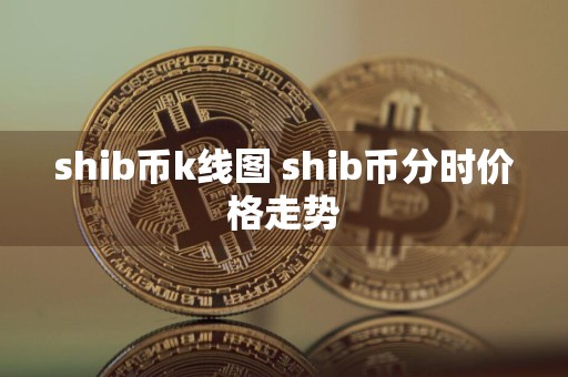 shib币k线图 shib币分时价格走势