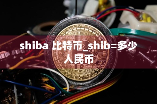 shiba 比特币_shib=多少人民币