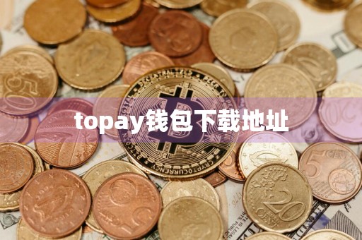 topay钱包下载地址