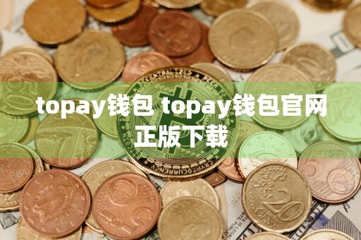 topay钱包 topay钱包官网正版下载