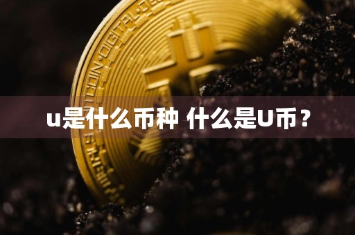 u是什么币种 什么是U币?
