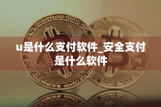 u是什么支付软件_安全支付是什么软件