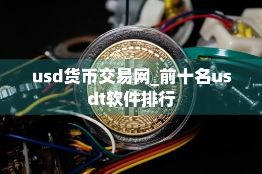 usd货币交易网_前十名usdt软件排行