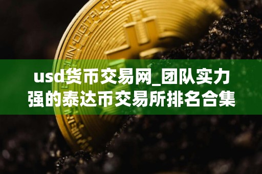 usd货币交易网_团队实力强的泰达币交易所排名合集