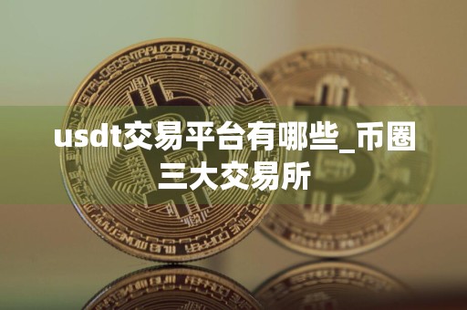 usdt交易平台有哪些_币圈三大交易所