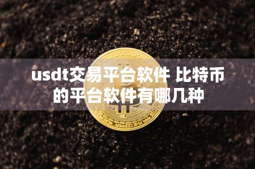 usdt交易平台软件 比特币的平台软件有哪几种