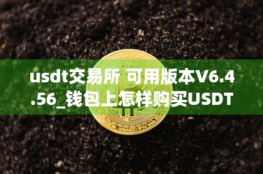 usdt交易所 可用版本V6.4.56_钱包上怎样购买USDT