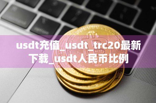 usdt充值_usdt_trc20最新下载_usdt人民币比例