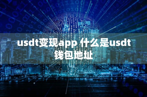 usdt变现app 什么是usdt钱包地址