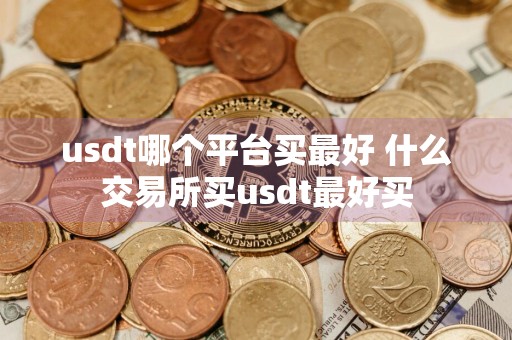 usdt哪个平台买最好 什么交易所买usdt最好买