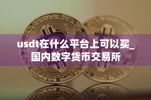 usdt在什么平台上可以买_国内数字货币交易所