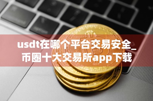usdt在哪个平台交易安全_币圈十大交易所app下载
