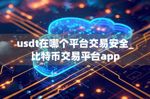 usdt在哪个平台交易安全_比特币交易平台app