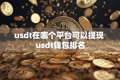 usdt在哪个平台可以提现 usdt钱包排名