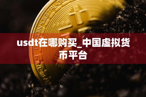 usdt在哪购买_中国虚拟货币平台