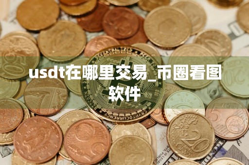 usdt在哪里交易_币圈看图软件