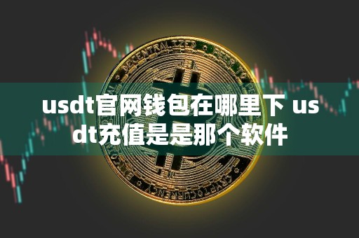 usdt官网钱包在哪里下 usdt充值是是那个软件