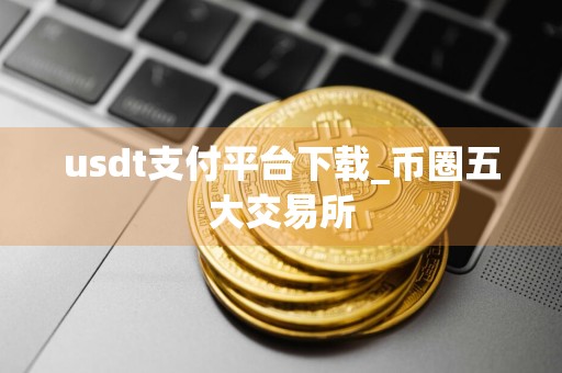 usdt支付平台下载_币圈五大交易所