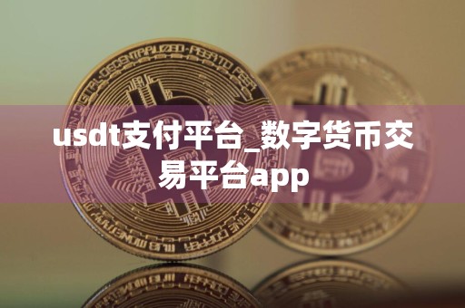 usdt支付平台_数字货币交易平台app