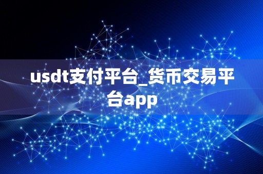 usdt支付平台_货币交易平台app