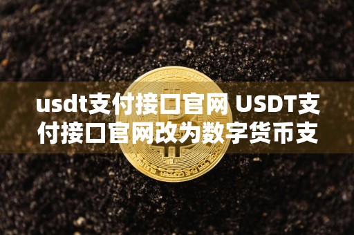 usdt支付接口官网 USDT支付接口官网改为数字货币支付网站