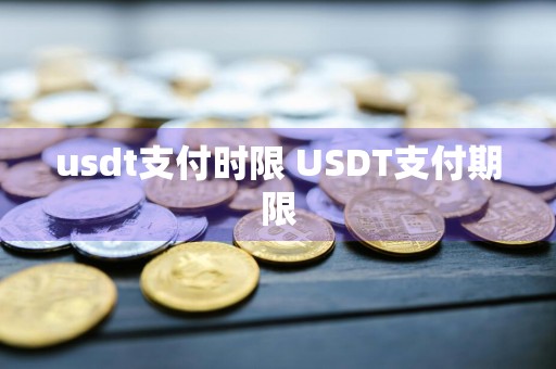 usdt支付时限 USDT支付期限