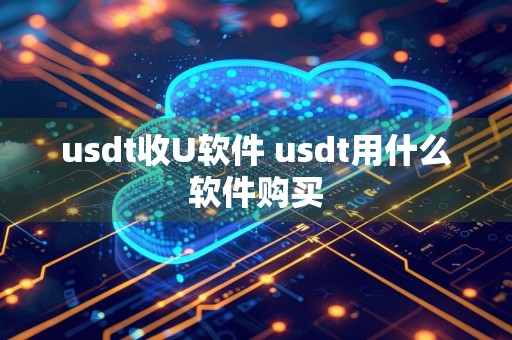 usdt收U软件 usdt用什么软件购买