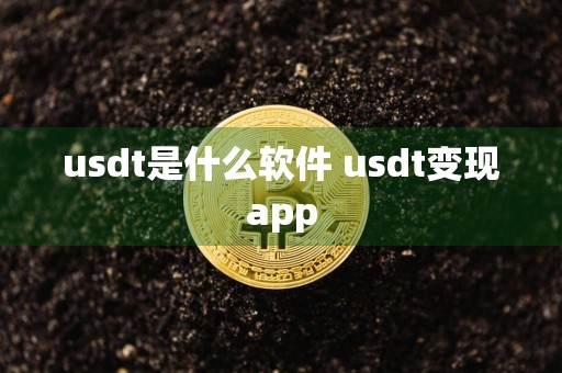 usdt是什么软件 usdt变现app