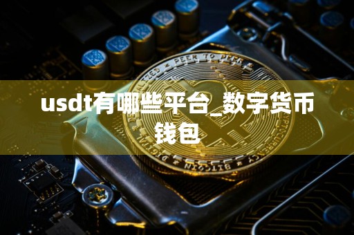 usdt有哪些平台_数字货币钱包