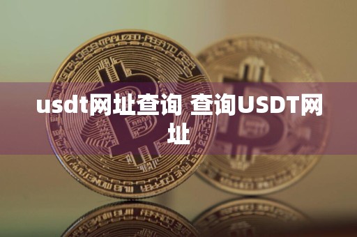 usdt网址查询 查询USDT网址