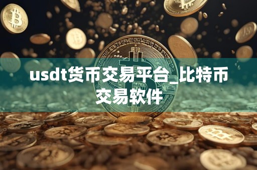 usdt货币交易平台_比特币交易软件