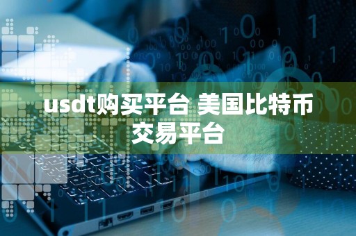 usdt购买平台 美国比特币交易平台