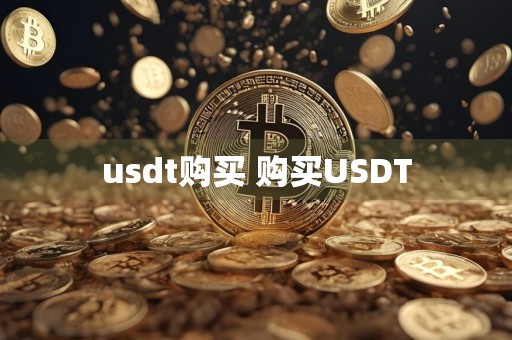 usdt购买 购买USDT