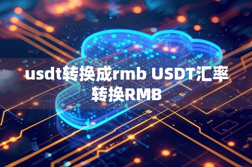 usdt转换成rmb USDT汇率转换RMB