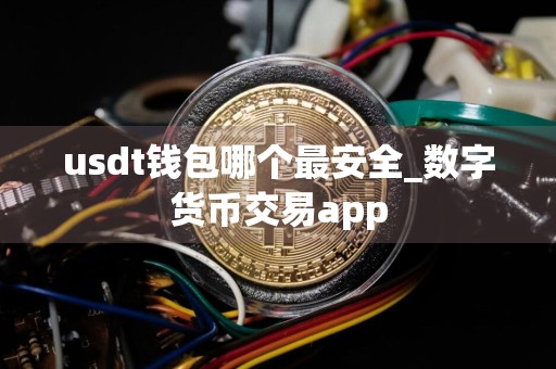 usdt钱包哪个最安全_数字货币交易app