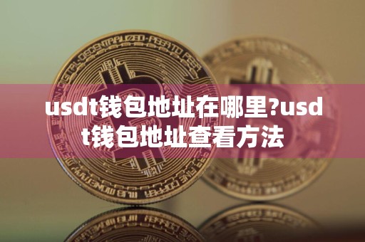 usdt钱包地址在哪里?usdt钱包地址查看方法