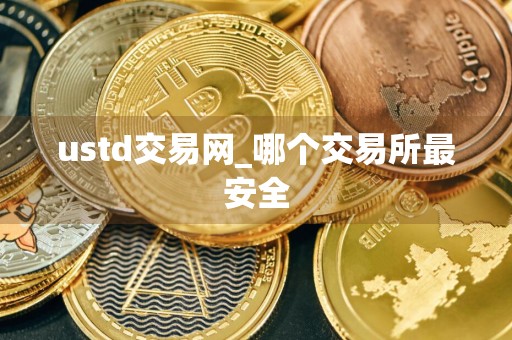 ustd交易网_哪个交易所最安全