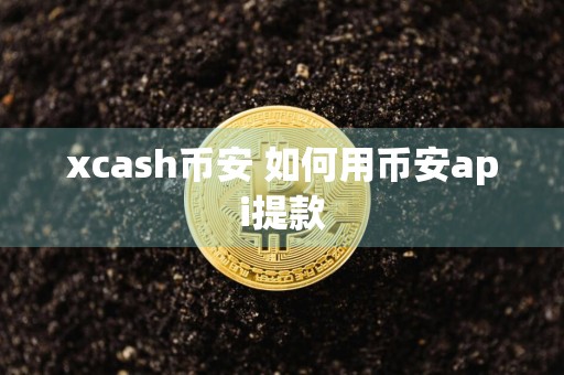 xcash币安 如何用币安api提款